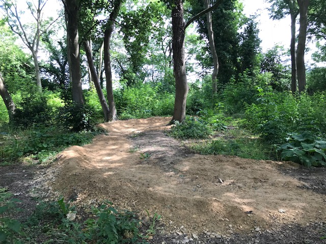 beck wood cycle path